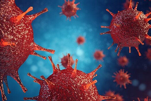 Биологи выявили еще один путь проникновения коронавируса в организм