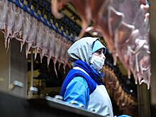 Британская Aviagen открыла птицефабрику в Пензенской области