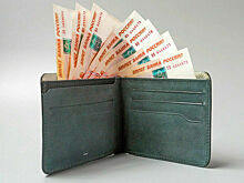 В России заработала программа долгосрочных сбережений граждан