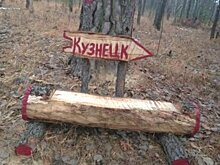 В лесах Пензенской области установили скамейки-навигаторы
