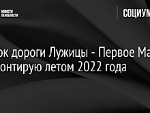 Участок дороги Лужицы - Первое Мая отремонтирую летом 2022 года