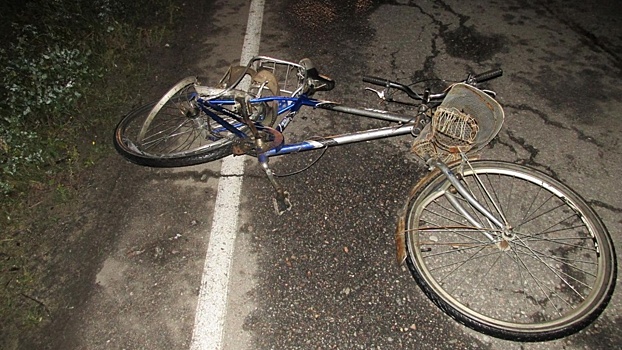 Велосипедист погиб на трассе в Вологодской области