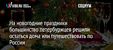 На новогодние праздники большинство петербуржцев решили остаться дома или путешествовать по России