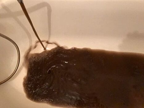 В Ленобласти из водопроводных кранов течет коричневая зловонная жижа