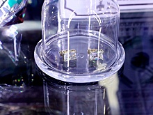 Бриллиант из праха и гроб в форме рыбы: самые необычные экспонаты музея похорон в Новосибирске