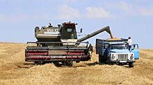 Казахстан планирует экспортировать более 6 миллионов тонн зерна