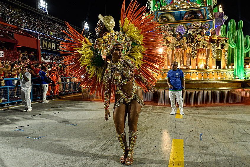 Участница карнавала на параде в Рио-де-Жанейро