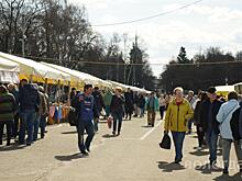 Более 3500 человек посетили ярмарку «Дачный сезон» в Вологде