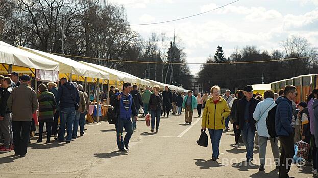 Более 3500 человек посетили ярмарку «Дачный сезон» в Вологде