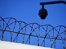 Правозащитники требуют освобождения политзаключенных Украины