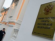 Минспорт создал группу по цифровой трансформации в физкультуре и спорте