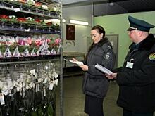 В Калининград перед 8 Марта ввезли более 7 тысяч цветов