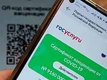 В Татарстане перевозчикам возместят затраты на покупку оборудования для проверки QR-кодов