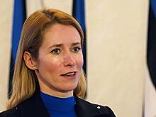 Власти Эстонии обратились к Западу по поводу Украины