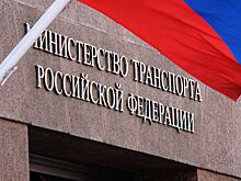 Минтранс выступил за ужесточение наказаний для авиадебоширов