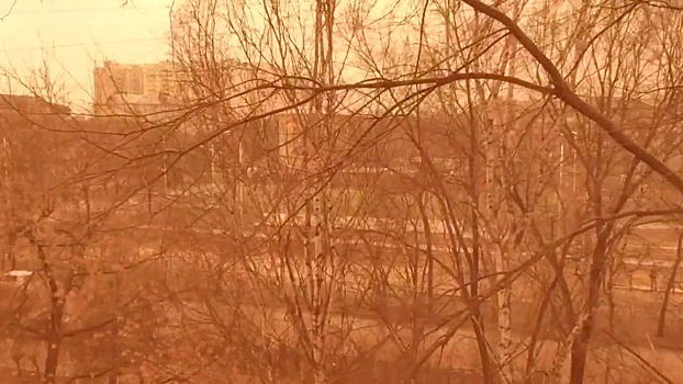 Города Амурской области окрасились в оранжевый из-за песчаной бури