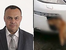 Депутат "украсил" свой автомобиль трупом собаки