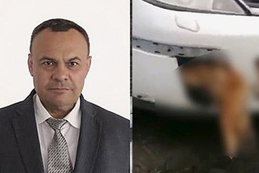 Депутат "украсил" свой автомобиль трупом собаки