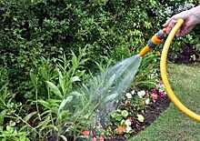 Администрация Усть-Кубинского района пообещала ввести дополнительную плату за полив огородов из кранов центрального водоснабжения