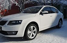 Владельцы Škoda Octavia А7 защитили машину после некорректного отзыва