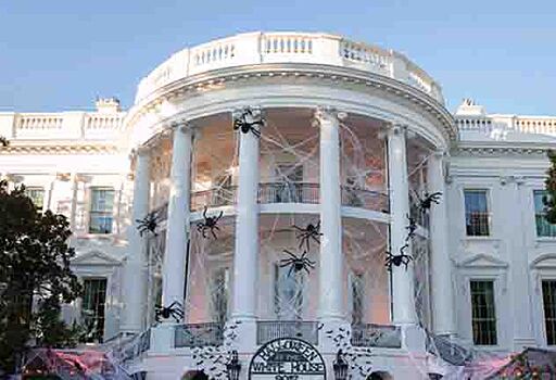 Белый дом атаковали мыши и тараканы