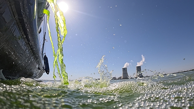 В водоем-охладитель Ростовской АЭС выпустили 3,5 т одноклеточных