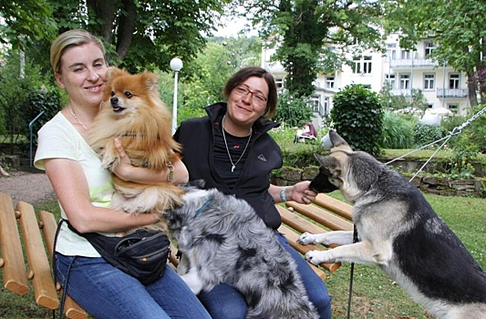 В немецком отеле ждут гостей с собаками