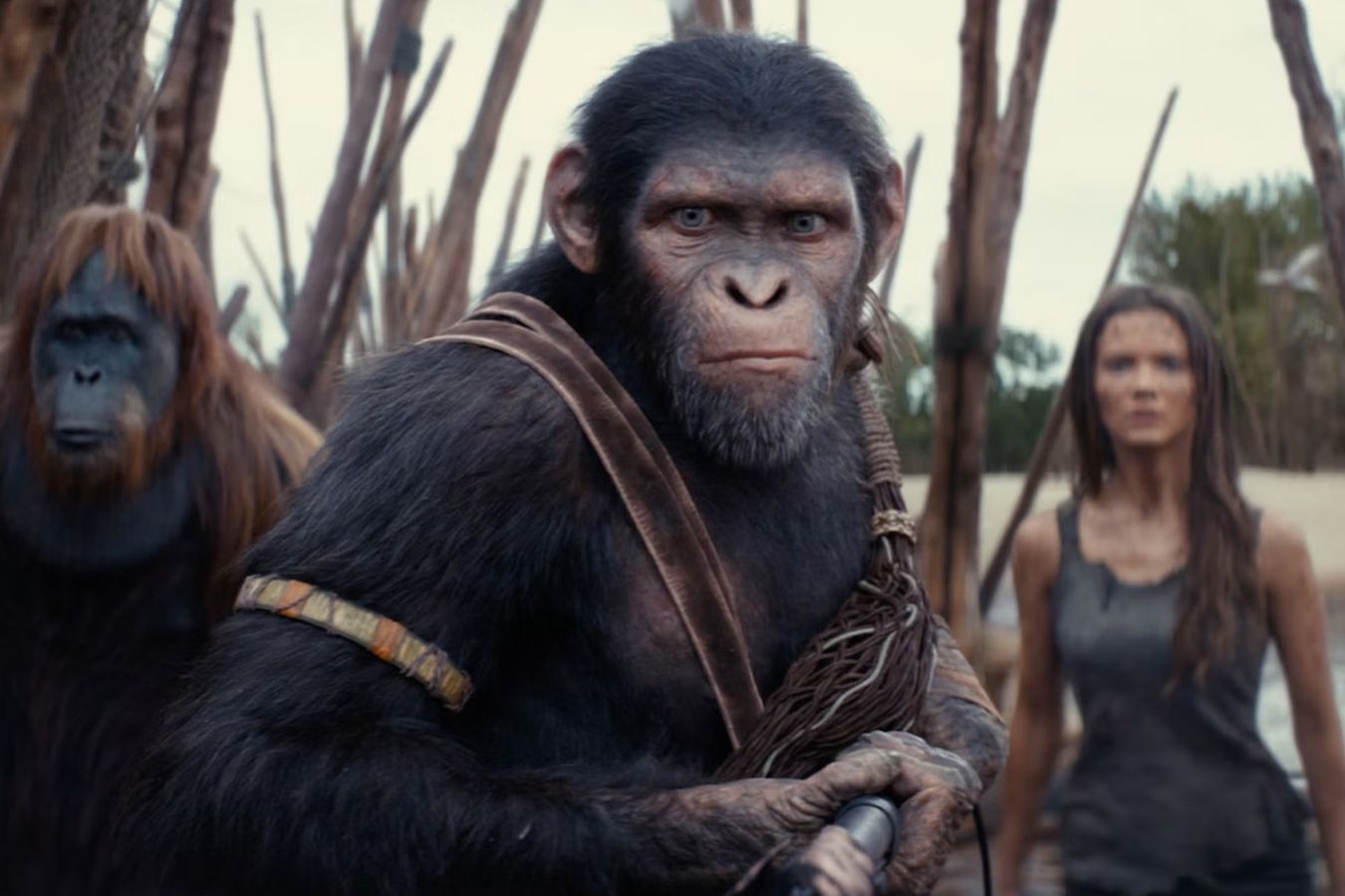Сборы фильма «Планета обезьян: Новое царство» в мировом прокате превысили $ 230 млн