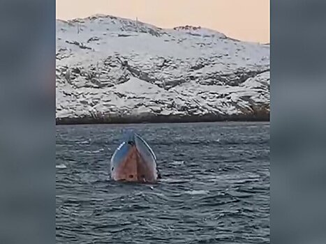 Задержан капитан перевернувшегося в Баренцевом море судна