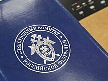 Саратовчанка после ковыряния в носу и дебоша заинтересовала главу СКР Бастрыкина