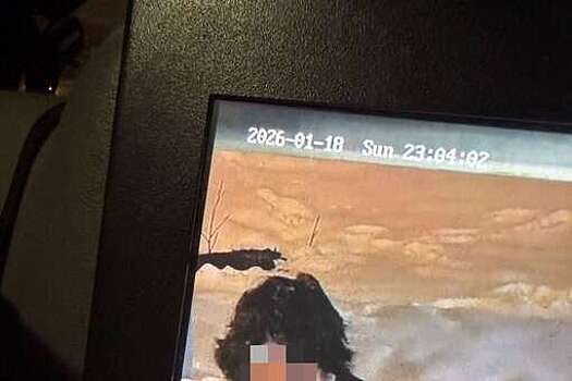 В Электростали задержали подозреваемого в нападении с ножом на юношу