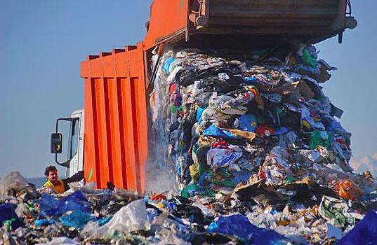 Человек не разумный, а гадящий