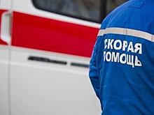 В Черняховском районе автомобиль Audi врезался в дерево, женщина-водитель погибла