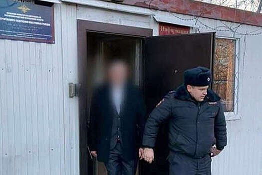 Из РФ депортировали иностранца, осужденного в Пензе за тяжкие преступления