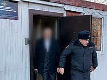 Из РФ депортировали иностранца, осужденного в Пензе за тяжкие преступления