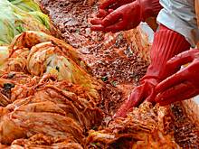 Участникам СВО отправят больше острой кимчи на фронт