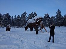 Чем удивят регионы туристов в зимний период