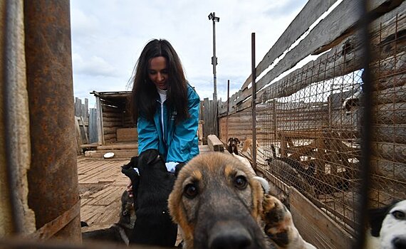 С заботой о четвероногих: предприятия СИБУРа в Казани помогли приюту для животных