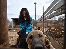 С заботой о четвероногих: предприятия СИБУРа в Казани помогли приюту для животных