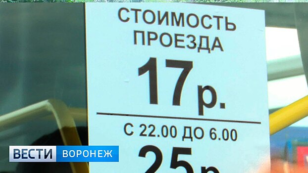 В Воронеже 17-летняя девушка получила сотрясение мозга при падении в маршрутке