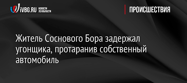 Житель Соснового Бора задержал угонщика, протаранив собственный автомобиль