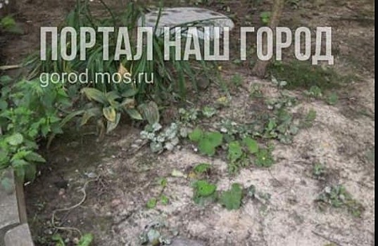 На улице Генерала Белобородова восстановили газон
