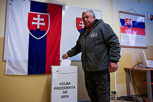 Экзитпол: два кандидата на пост президента Словакии прошли во второй тур