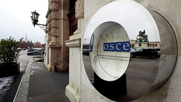 Представителю России не дали выступить на форуме ОБСЕ
