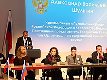 Посол РФ в Нидерландах отметил важную роль диаспоры в борьбе с антироссийской пропагандой