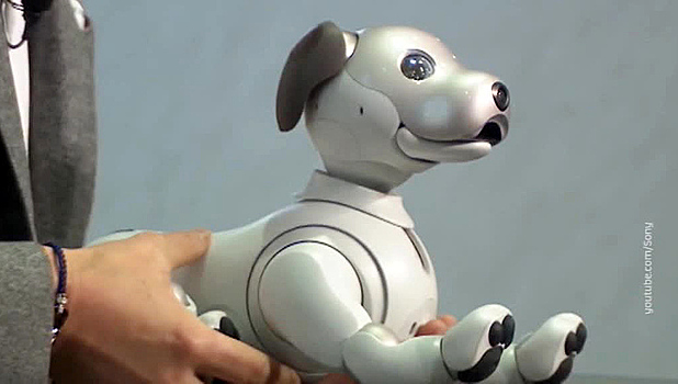 Sony воскресила робопса Aibo, а Apple сдала китайцев властям