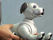 Sony воскресила робопса Aibo, а Apple сдала китайцев властям