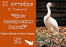 Нижегородцы в белой одежде смогут посетить зоопарк за полцены 22 октября