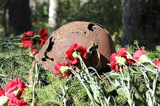 Стравропольские поисковики установили судьбу 883 пропавших в Великую Отечественную войну бойцов