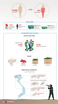 Сколько вьетнамцев в год умирает от наркотиков